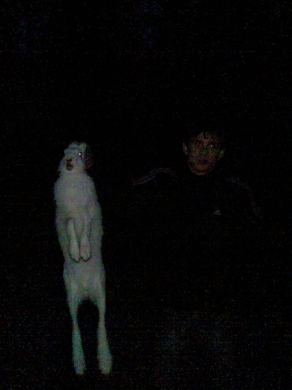 Владислав Исаренко ...Vl@disl@V... | Тюмень