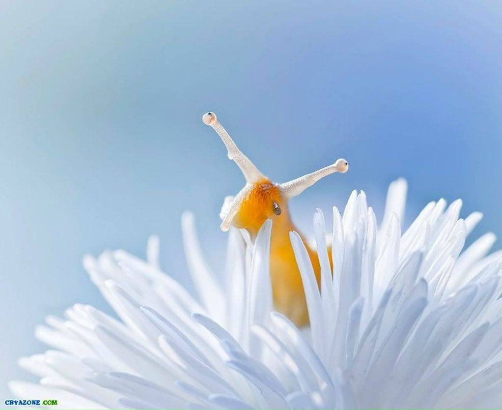 Кристина Святюк | Москва