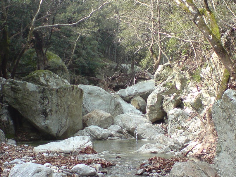 Fotis Fotiadis | Thessaloniki