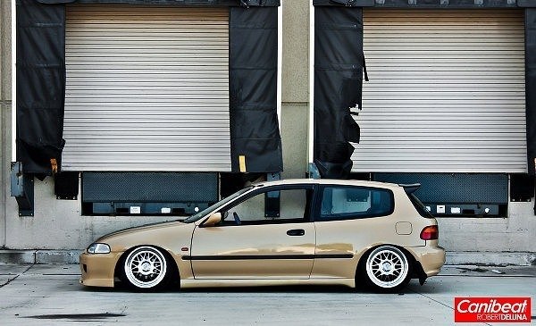 Макс Алексеев | Москва