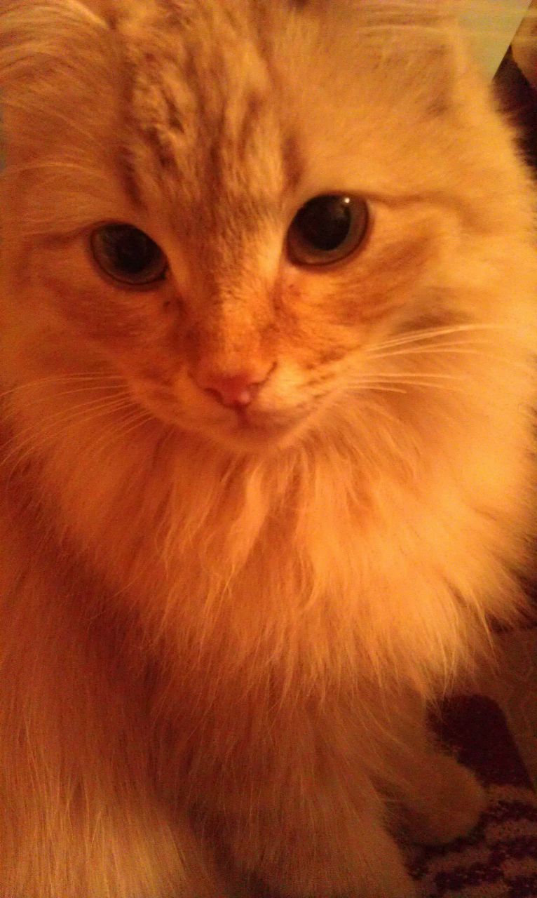 Алия Исхакова | Уфа