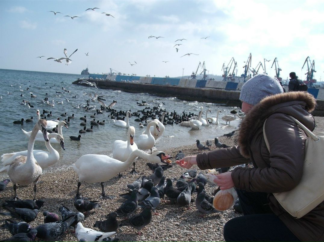 Юлия Нечай | Харьков