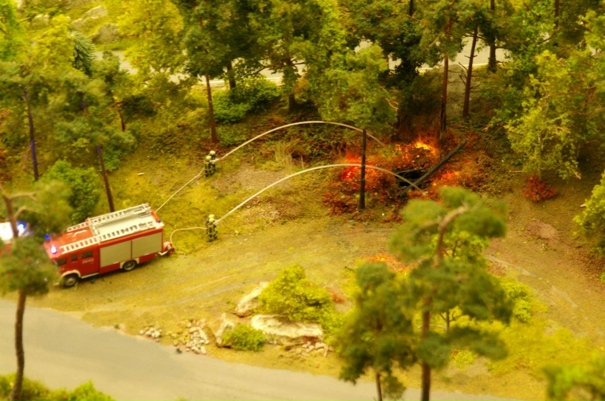 Мария Юрецкая | Санкт-Петербург