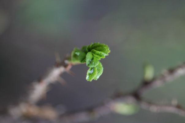 №87, Эли Соколов, 28 лет, Тель-Авив №87, Эли Соколов, 28 лет, Тель-Авив