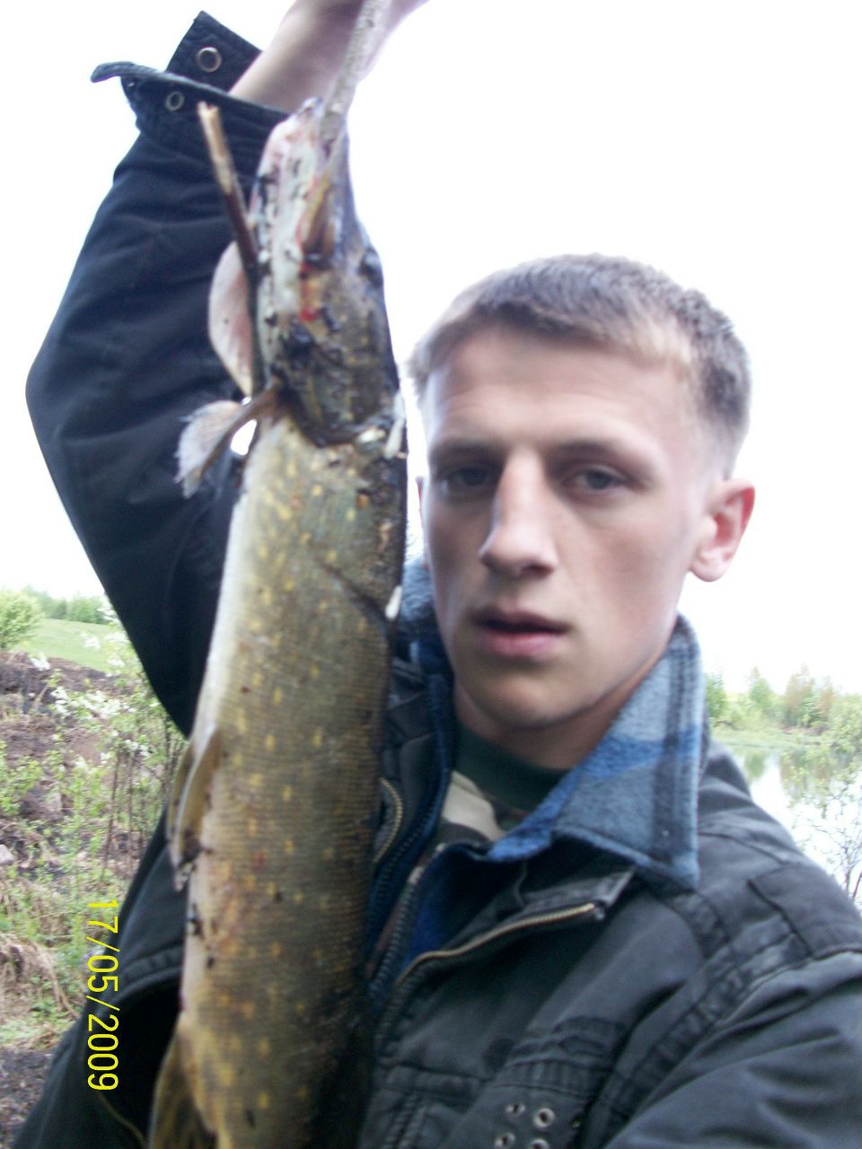 Ден Доршаков | Копейник