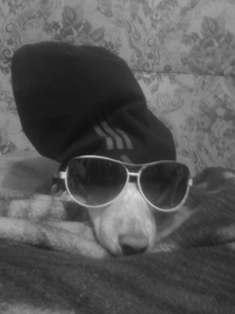 Александр Костырин | Москва