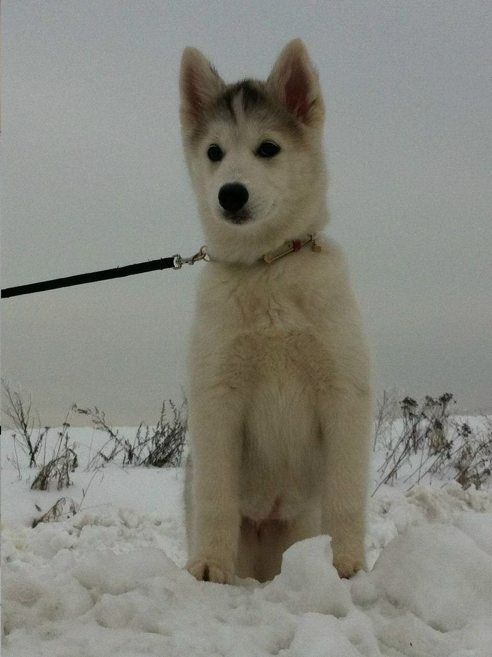 Татьяна Сазонова | Москва