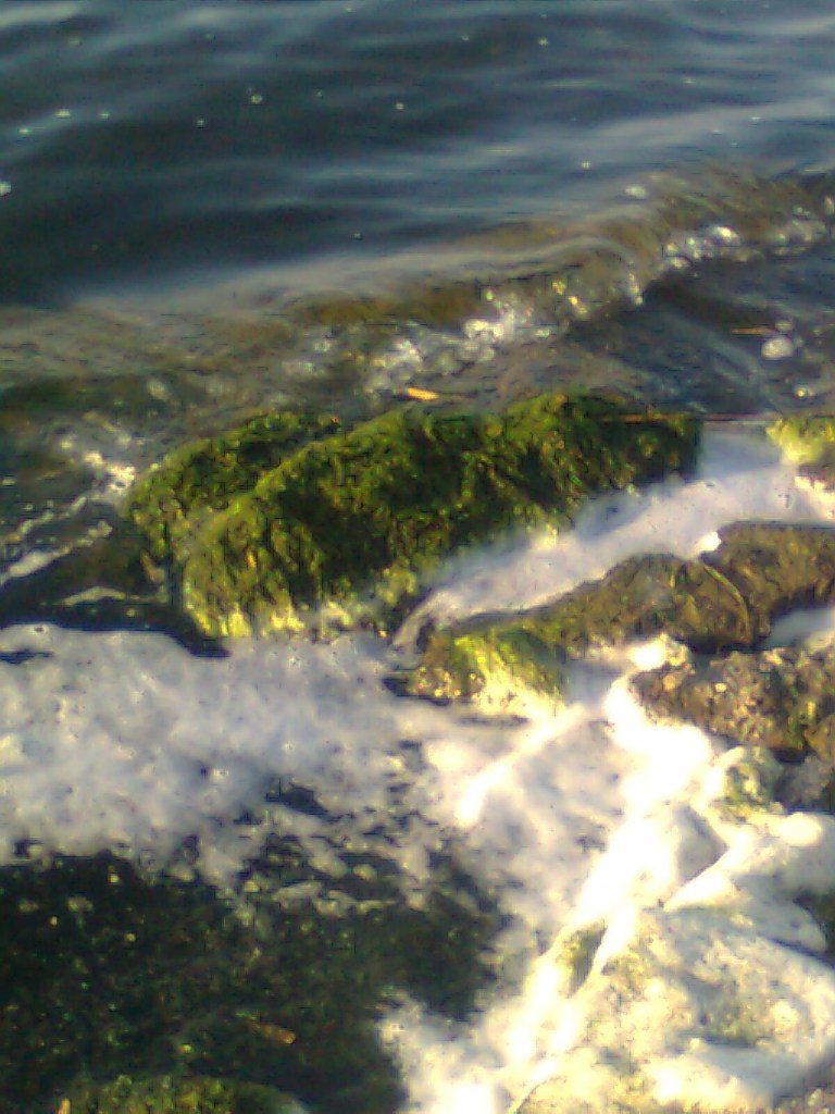 Людмила Малышева | Николаев