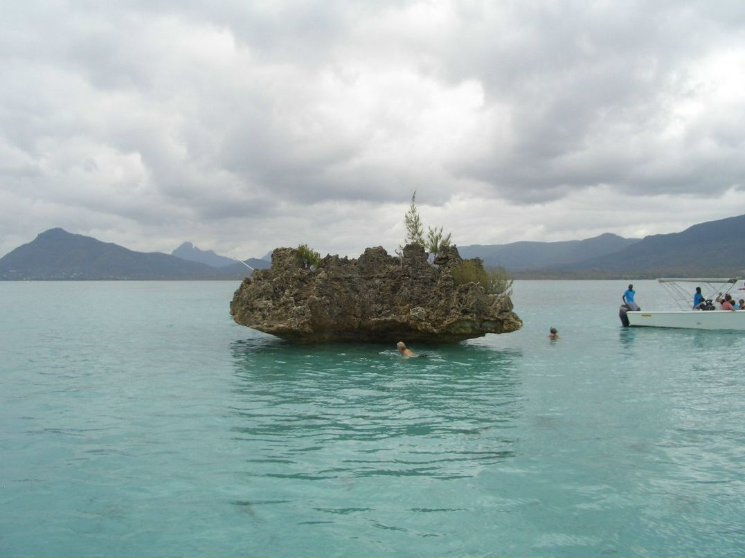 Tanja Mettler | Lugano