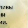 Светлана Беляева | Мурманск