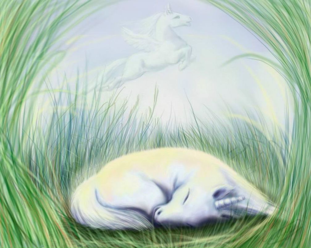 Юлия Есаулова | Санкт-Петербург