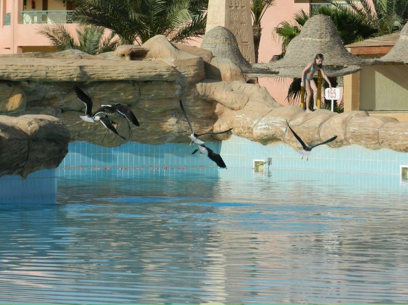 Катя Студеновская | Кремёнки