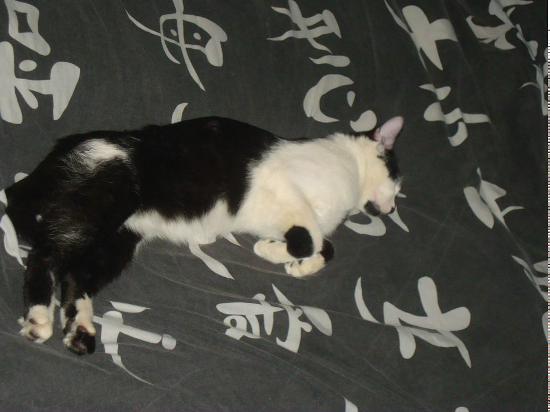 Тёма Крыжовой | Никополь