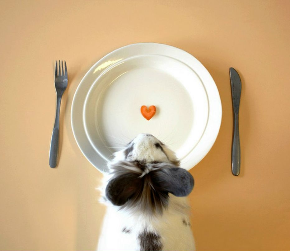 Елена Хромова | Москва