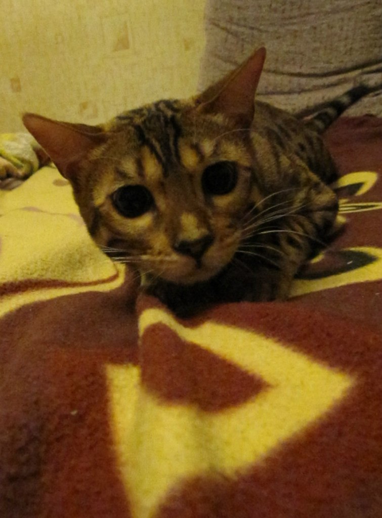 Анка Рыжая | Санкт-Петербург