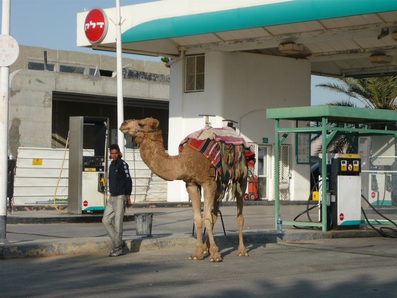 Елена Кондратюк | Санкт-Петербург
