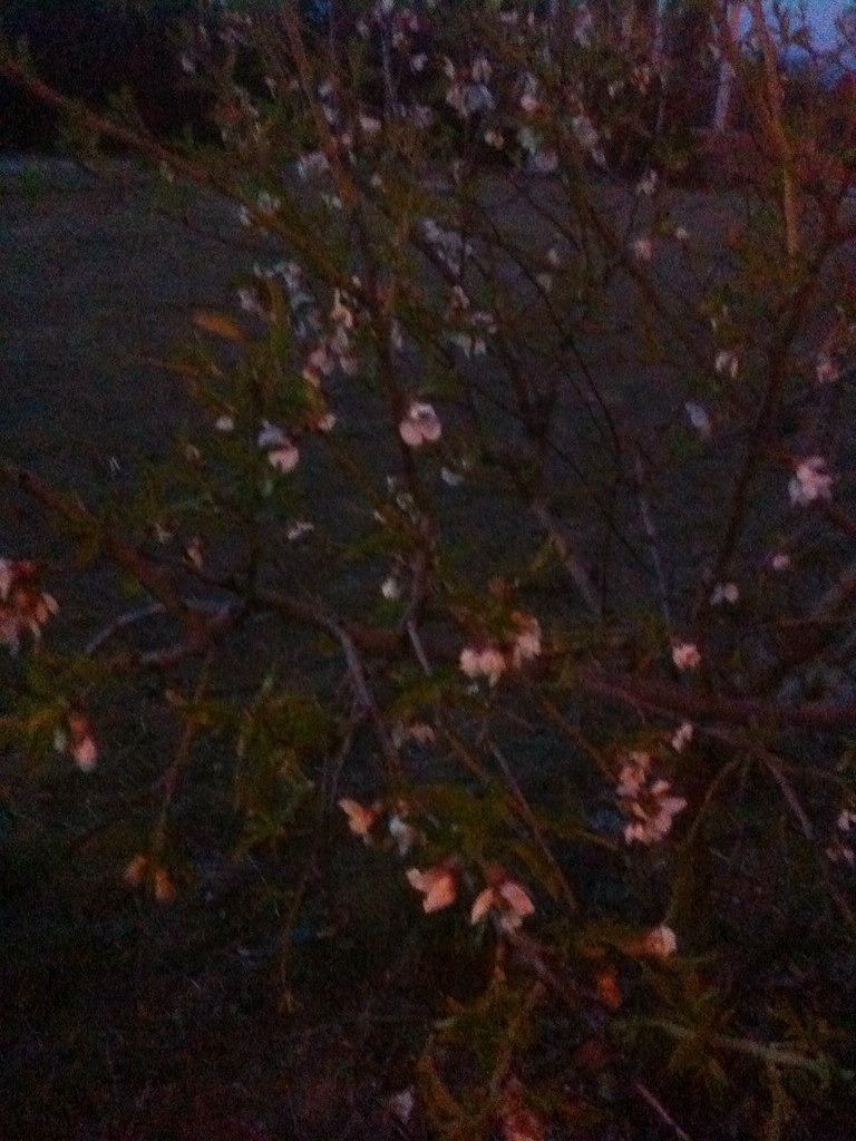 Юрий Савельчев (Розенгауз) אורי | Helsinki