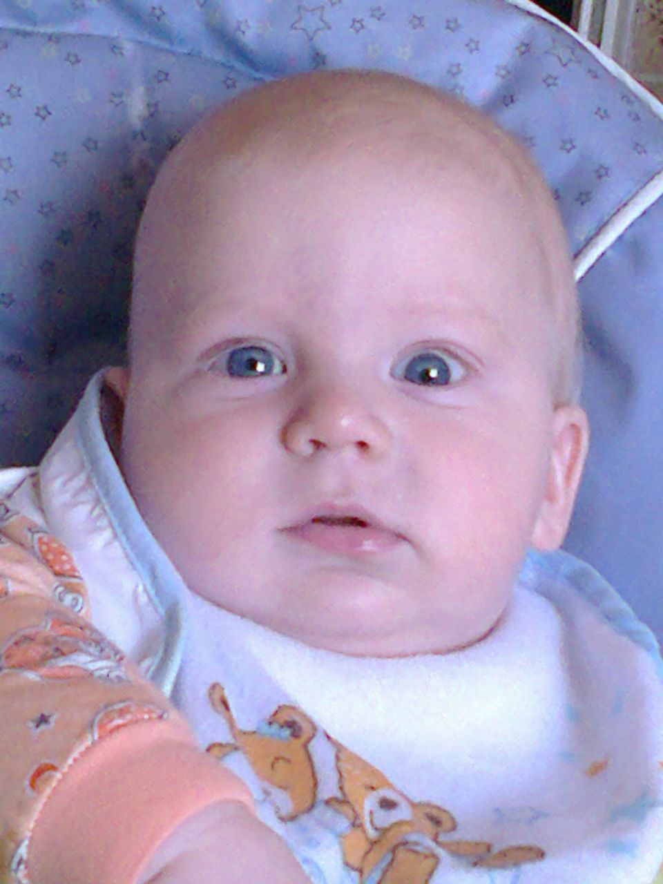 Вероника Пильник | Петрозаводск