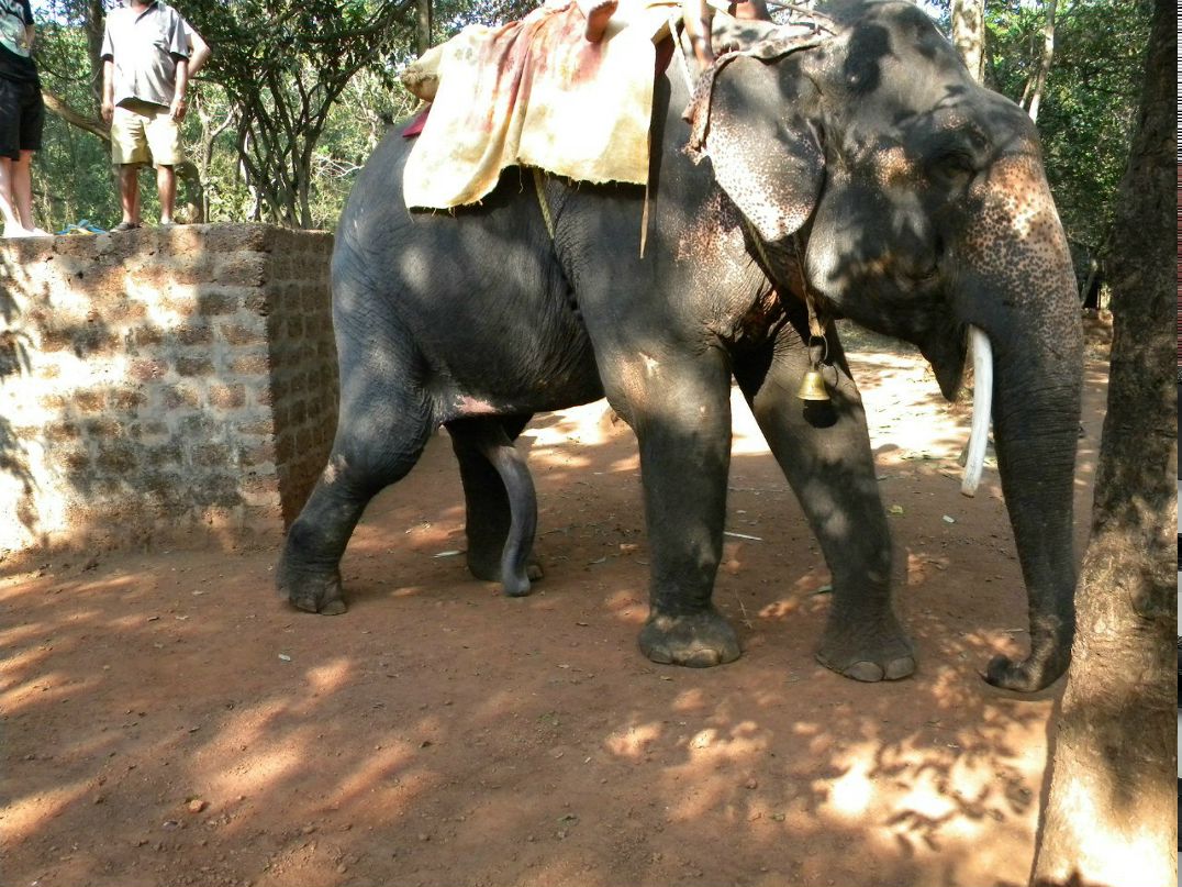 Сергей Головченко | Челябинск