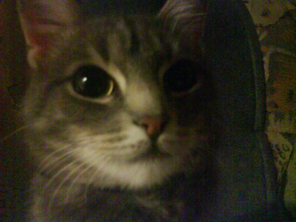 №150, Леха Селезнев, 40 лет, Ростов-на-Дону №150, Леха Селезнев, 40 лет, Ростов-на-Дону