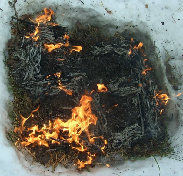 №25, Цея Ойойой, 29 лет, Новый Роздол №25, Цея Ойойой, 29 лет, Новый Роздол