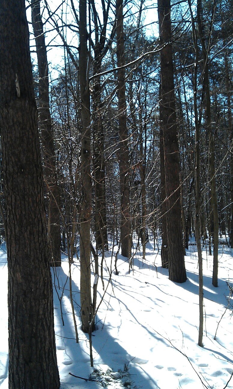 Александр Волков | Москва