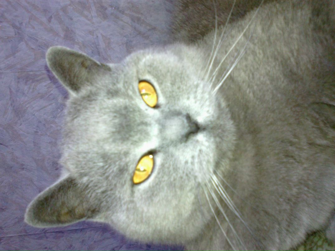 Андрей Шакиров | Челябинск