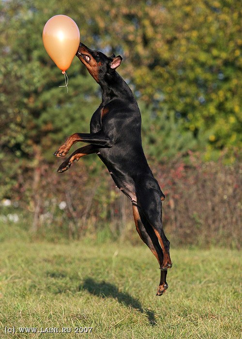 Оля Мезенева | Мурмаши