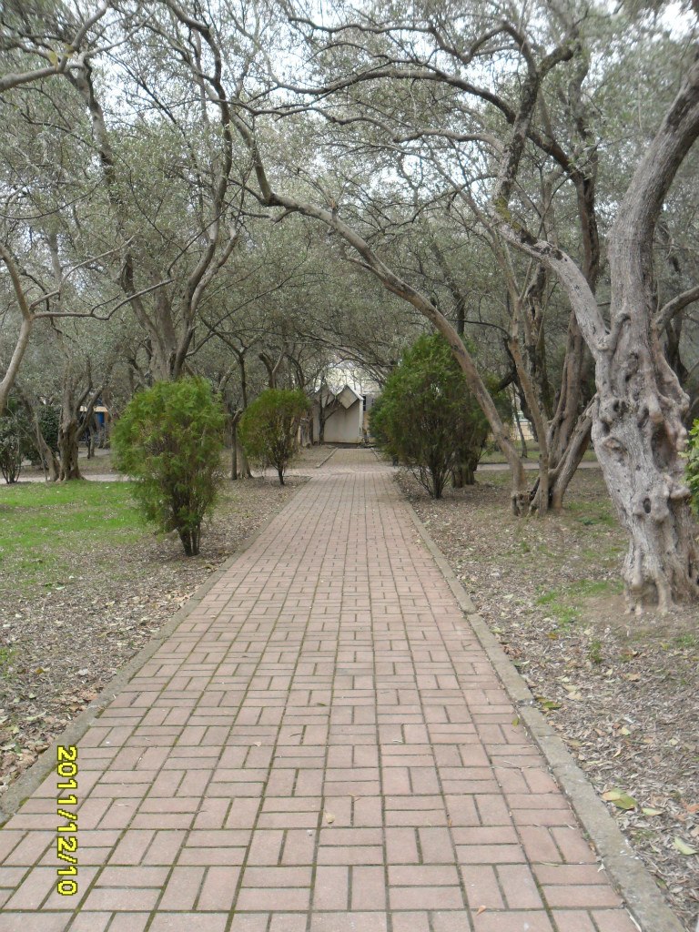 Ромко Креховецький | Креховичи