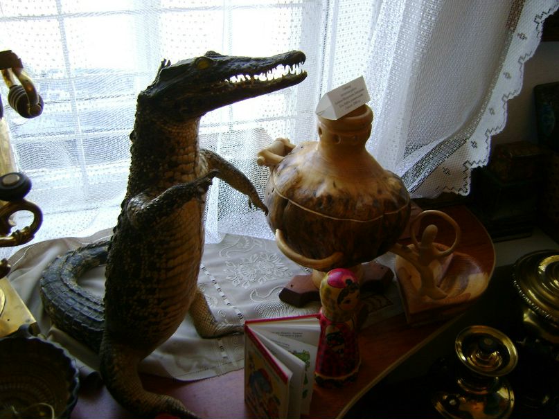 Данил Васин 