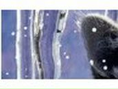 Алексей Лесик | Харьков