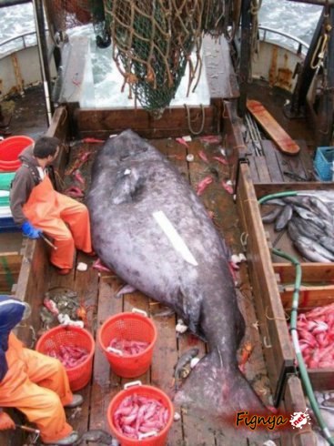 Женя Мишурченко ☺☻♥♦b | Харьков