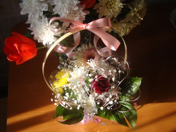 №34, Ариночка Соснина №34, Ариночка Соснина