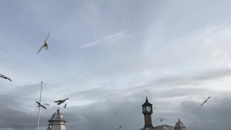 Lady Waks, , Brighton