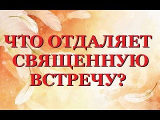 ПОСЛАНИЕ ОТ МАСТЕРА ЧАМУИЛА И ЛЮБВИ-ЧТО ОТДАЛЯЕТ СВЯЩЕННУЮ ВСТРЕЧУ