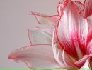 Фотография Валерия Лысковцева