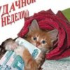 Аватар: Aleksa Krash