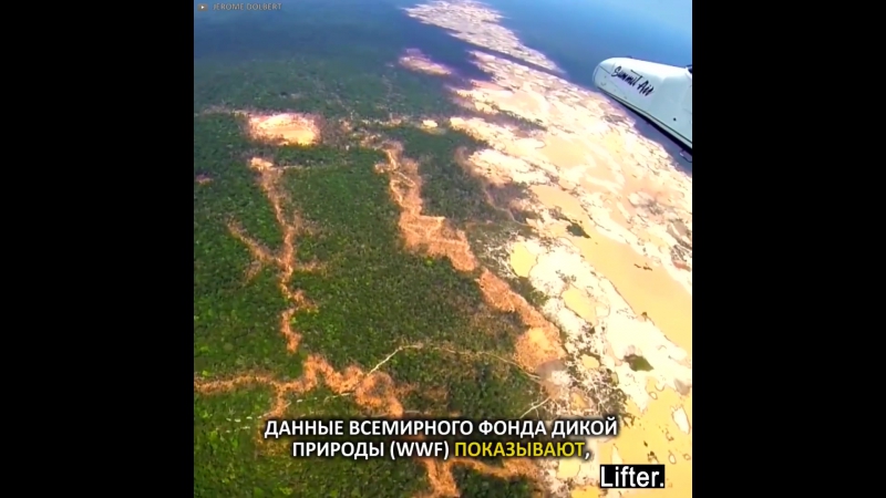 Норвегия отказалась от вырубки леса!