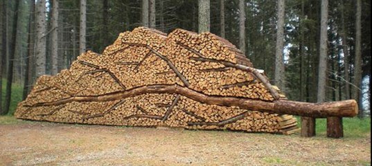 Нарисуйте схему где нужно складывать дрова. Картины из дров. Баннер дрова. Орнамент поленница. Собрать поленницу.