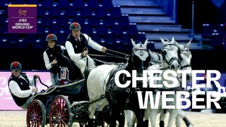 Can Chester Weber break the Australian dominance at the FEI Driving World Cup - Rider in Focus
