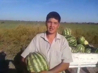 Видео от Фарап