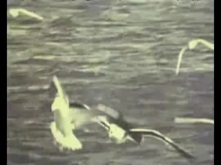 Юрий Богатиков - Усталая подлодка