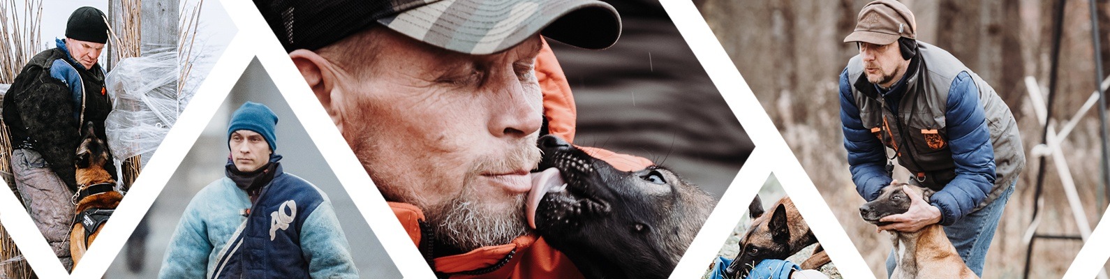 Мондьоринг клуб СПб г. Пушкин | Ринговая подготовка собак и не только ...