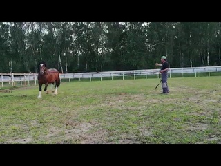 Ливан 2009-1