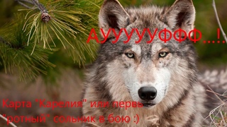 ВОЛК НЕ КАЖДОМУ БРАТ, КОГДА НЮХ! БИТВА ЗА МЕТАЛЛ, КЛАН QLEXI