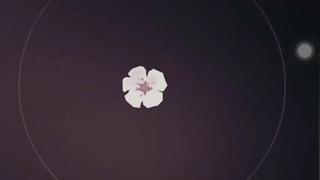 Miyagi - Самурай