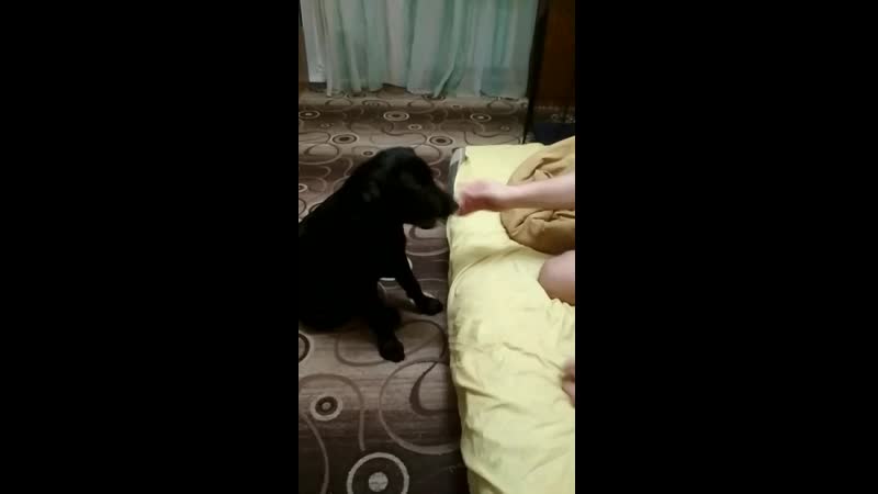 Джойс Бест Хантер Цезарь (Чейни Чайм и Джетта Блэк), 5