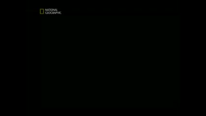 Запреты ( Taboo) Смена