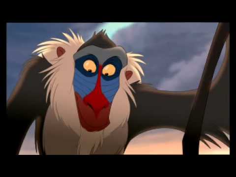 The Lion King Circle of
