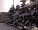 №1 Паша Бакал : профиль, фото, статус - ВКонтакте
